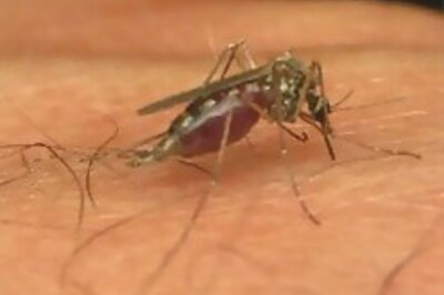 Six deaths due to dengue in Delhi