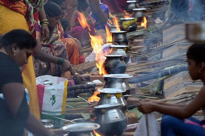 Tamil Nadu Govt to Provide Rs 1,000 for Ration Card Holders Ahead of Pongal Festival