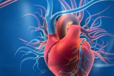 2 Servings of Avocados a Week Can Lower The Risk of Cardiovascular Disease