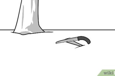 How to Kill Tree Roots