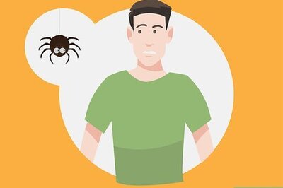 How to Overcome the Fear of Spiders