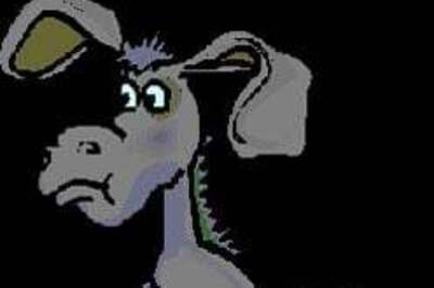 Donkey produced in court!