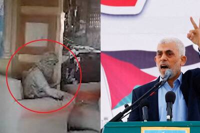 Hamas Chief Yahya Sinwar Refused Arab Offer To Escape Gaza After October 7 Attack: Report