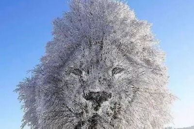 Optical Illusion: What You See First in This Photo Will Reveal a Secret About Your Personality