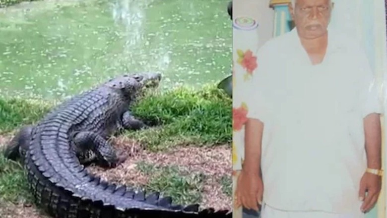 DMK Leader, Out Bathing in Kollidam River, Killed in Crocodile Attack