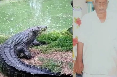 DMK Leader, Out Bathing in  Kollidam River, Killed in Crocodile Attack