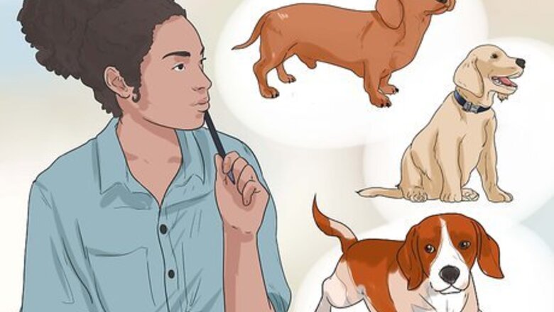 How to Find and Adopt a Healthy and Happy Shelter Dog
