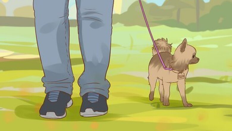 How to Handle a Little Dog with a Big Attitude