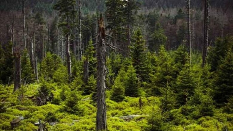J&K forest department retrieves 12 acres forest land in Jammu