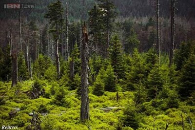 J&K forest department retrieves 12 acres forest land in Jammu