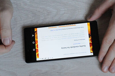 How to Verify the Purity of Honey