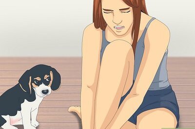 How to Stop a Puppy from Nipping or Biting During Playtime