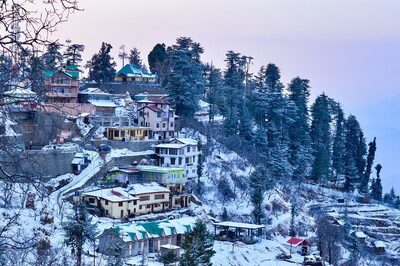 Snowfall in Himachal: Tourists Rescued, Stranded Vehicles Moved to Safer Areas