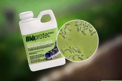 How to Get Rid of Caterpillars