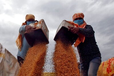 A 'Wheaty' Affair: Afghanistan Slams Poor Quality Wheat Sent By Pakistan, Heaps Praise on India