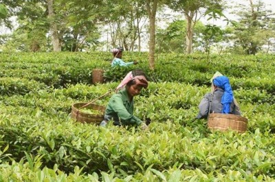 Fuelled by Omicron Concern, Northeastern States Revise Covid Protocols for Inbound Travellers