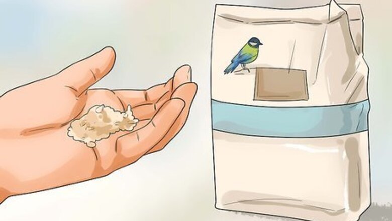 How to Keep Cockatiels Healthy While Breeding