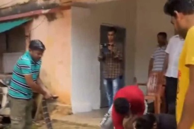 11-Foot King Cobra, Chasing Monitor Lizard, Enters Odisha Home