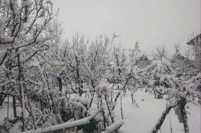 Dense Fog Disrupts Flight Operations in Jammu After Snowfall