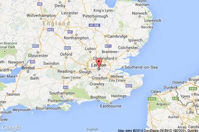 47-year-old UK woman 'marries' pet dog