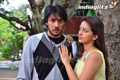 Kannada Review: 'Navika' is an ordinary revenge tale