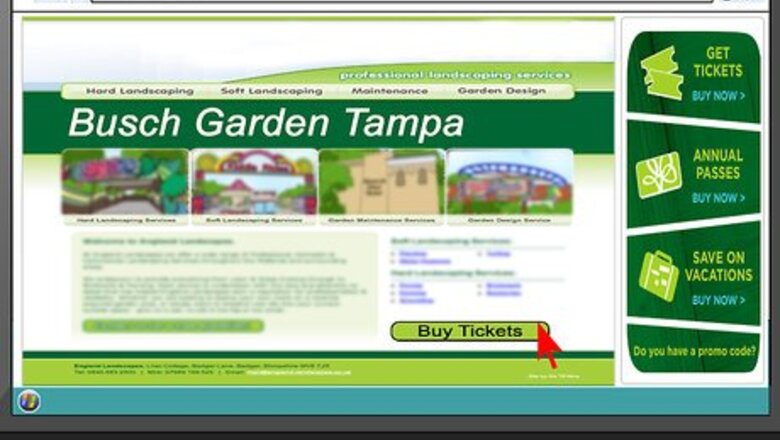 How to Visit Busch Gardens Tampa