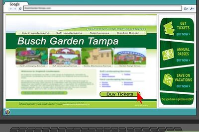 How to Visit Busch Gardens Tampa