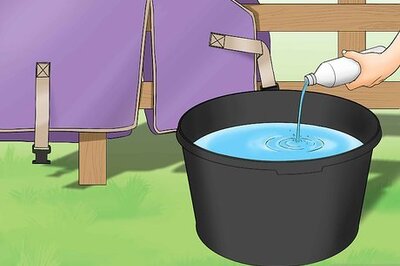 How to Wash a Horse Rug