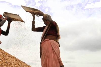 Russia and Ukraine Crisis Might Give India Opportunity to Export More Wheat in Global Markets