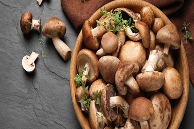 Mushroom To Strawberry, 5 Tasty Foods To Reduce Weight