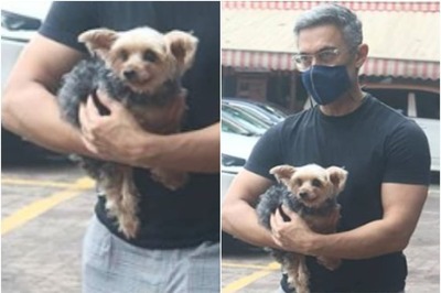 Aamir Khan Flaunts Lockdown Greys as He Steps Out with Furry Friend