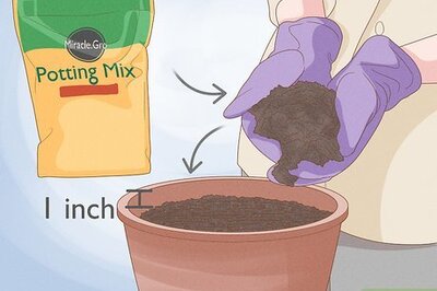 How to Use Miracle‐Gro