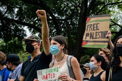 Pro-Palestine Protests In US Varsities: Safety A Concern, But Most Indian Students To Join Courses This Fall