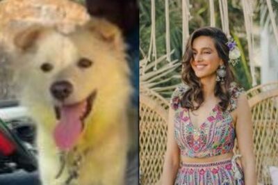 Shibani Dandekar Rescues Dog Abused by Owner in Viral Holi Video