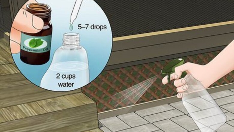 How to Keep Spiders Away from Your Patio