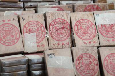 Boom in Drug Smuggling from South Africa During Pandemic; NCB Suspects Expansion, Revival of Illegal Labs