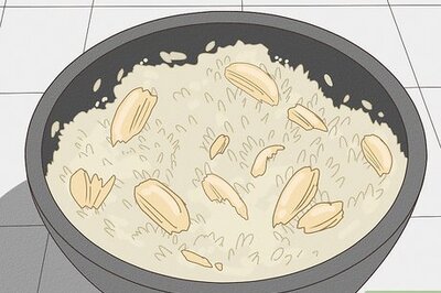 Pancreatitis Recovery: Helping Your Dog Heal at Home