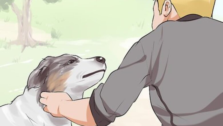 How to Do Short Training Sessions with Your Hunting Dog