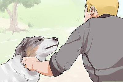 How to Do Short Training Sessions with Your Hunting Dog