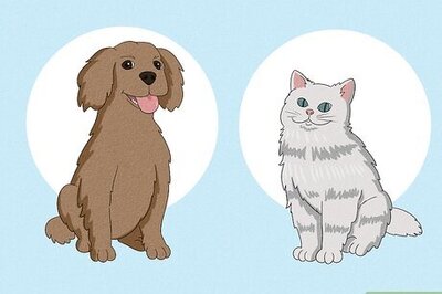 200+ Favorite Things Questions to Ask