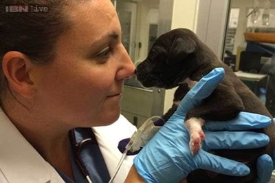 Delhi: Government authorises 40 new drug stores to sell Tamiflu tablets for swine flu cure