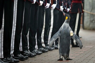 Penguin-Shaped Robot Sets Guinness World Record For Skipping