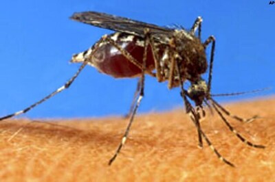 Over 1,000 now down with dengue in Bengal