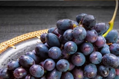 Can A Diabetic Patient Consume Black Grapes? Expert Responds