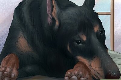 How to Diagnose Heart Conditions in Doberman Pinschers