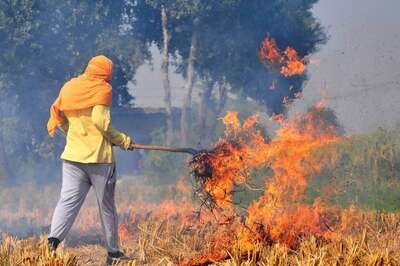 Opinion | ‘Stubble’ is Not Trouble, Just Need A Sustainable Solution