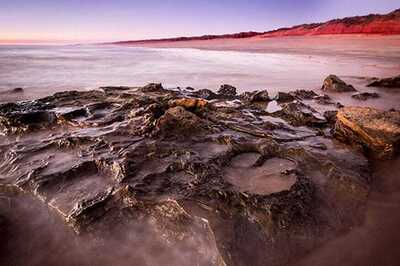 'Unparalleled' Number of Dinosaur Tracks Found in Australia