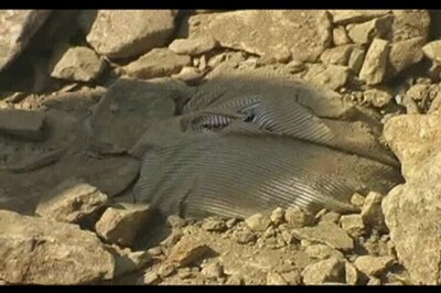 Madhya Pradesh: Road built over an unconscious drunk man after he accidentally slips into a pothole