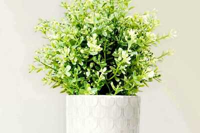 The Rise of Quiet Luxury in Evolving Furniture Design