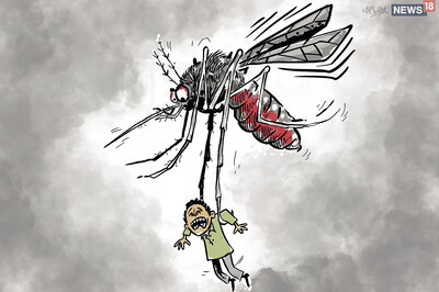 Numbers Soar in Tamil Nadu as Five More Cases of Dengue Suspected